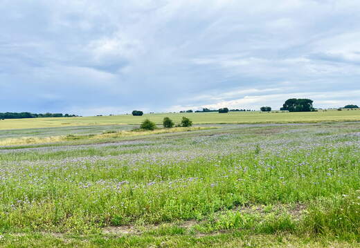 24-07-01 13-00-52 0068